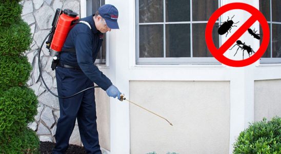 Doğanlar Karınca İlaçlama böcek ilaçlama ve haşere kontrolü — ilaclama-tr.com